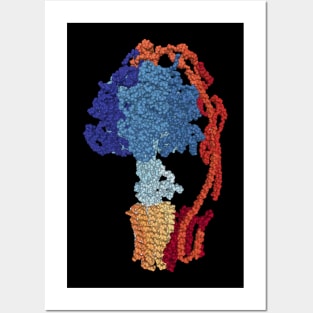 ATP synthase Posters and Art